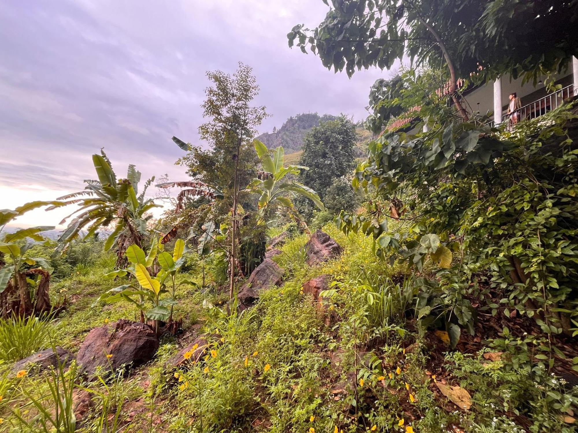 Nature Green Hotels On Rock Home Ella Exterior foto