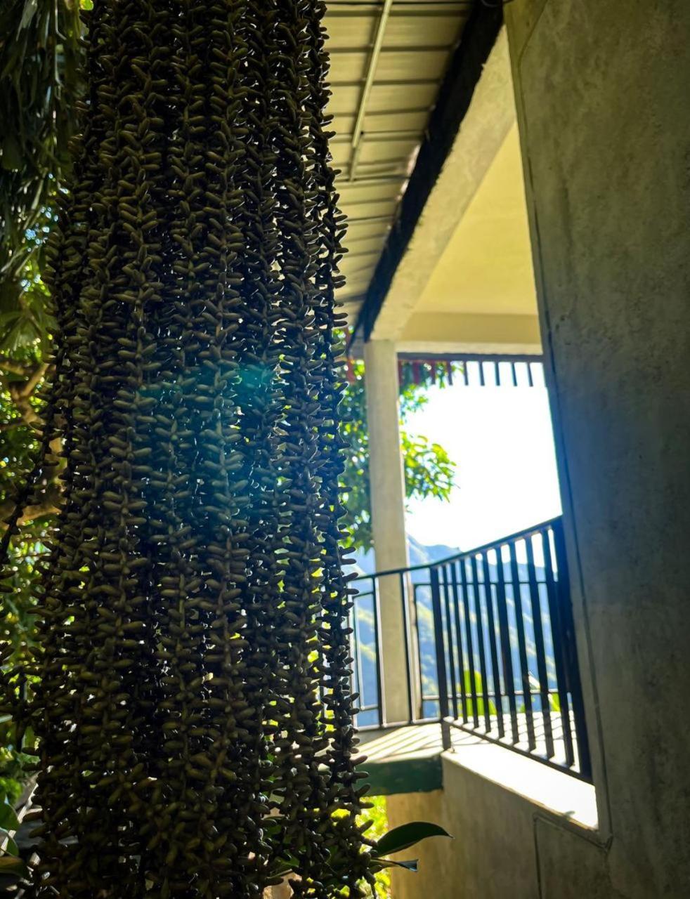 Nature Green Hotels On Rock Home Ella Exterior foto
