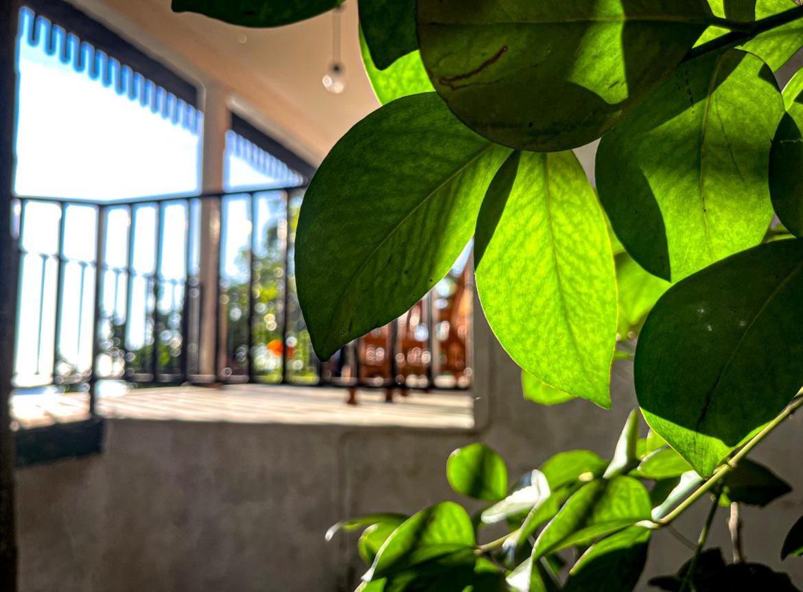 Nature Green Hotels On Rock Home Ella Exterior foto