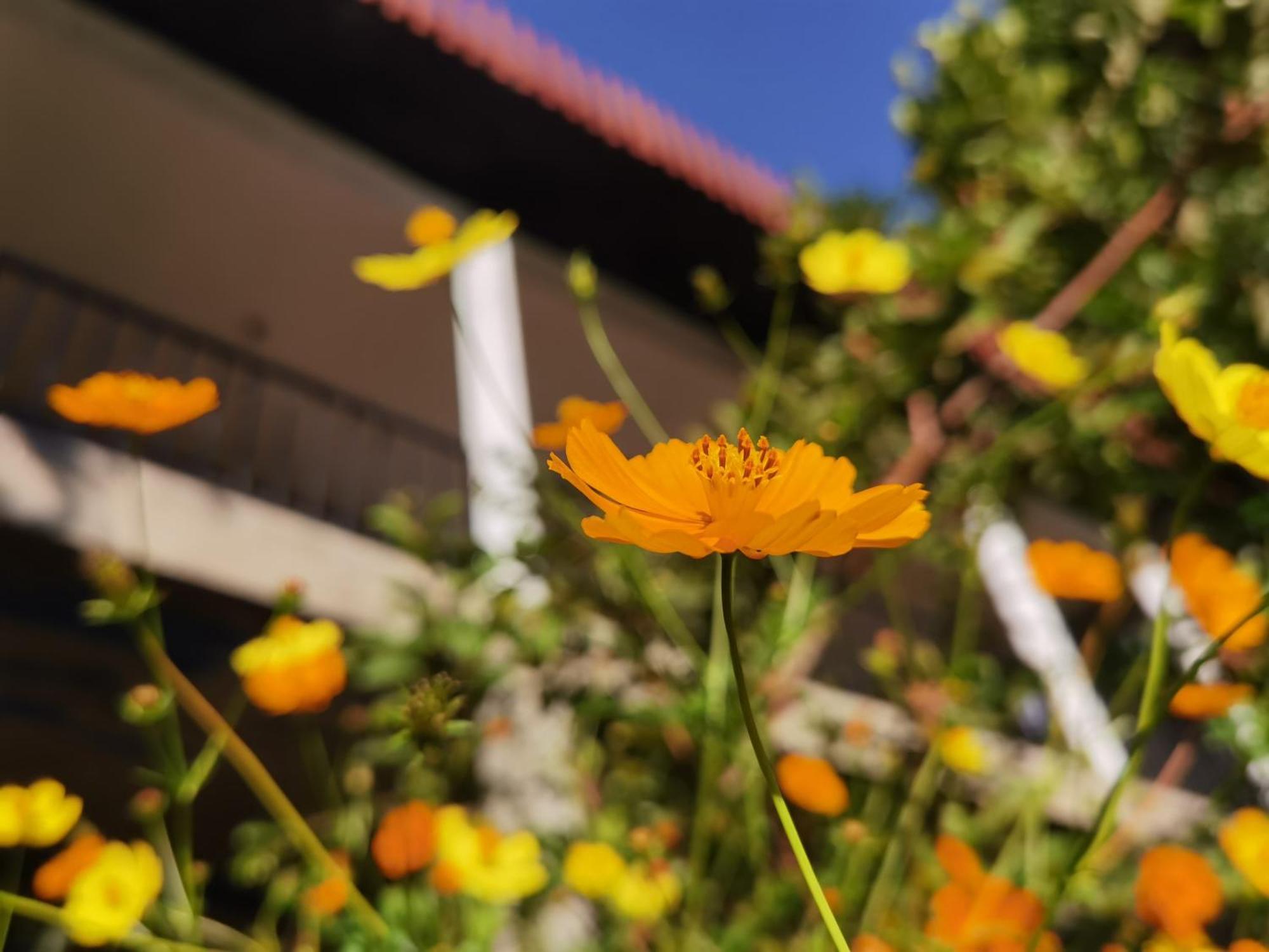 Nature Green Hotels On Rock Home Ella Exterior foto