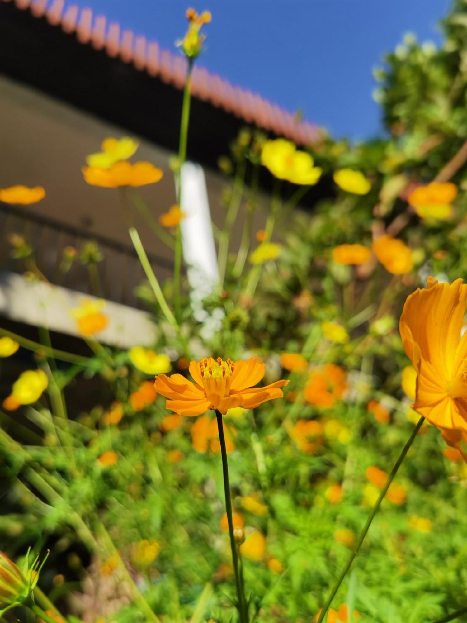 Nature Green Hotels On Rock Home Ella Exterior foto