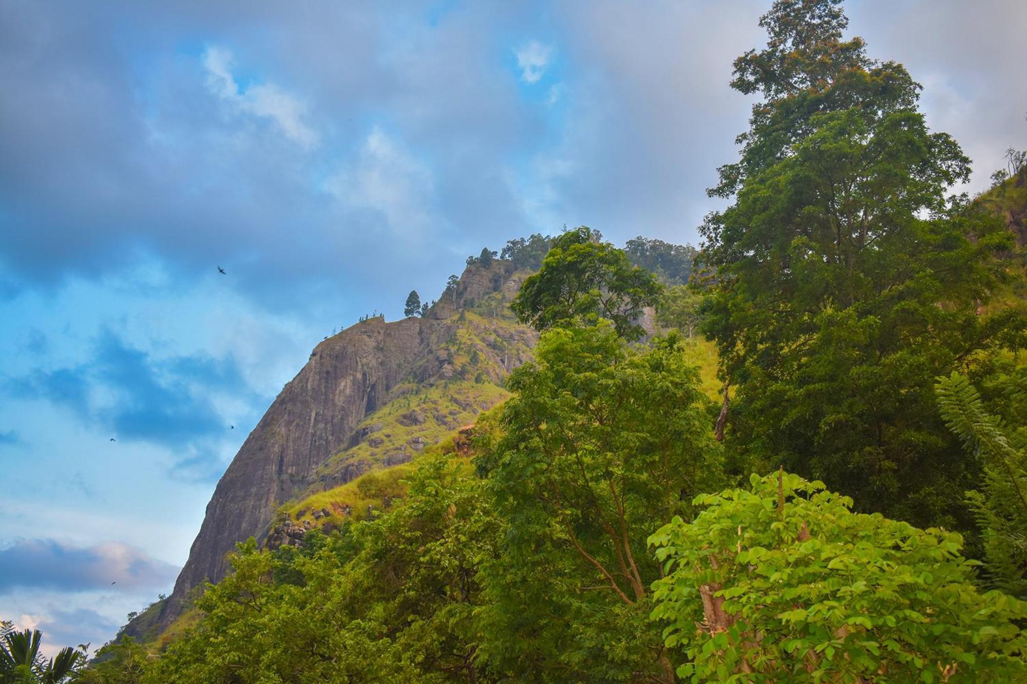 Nature Green Hotels On Rock Home Ella Exterior foto